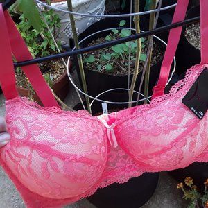 Coral Pink Lace Bra